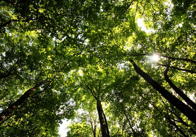 Retreat, 5K 014 copy