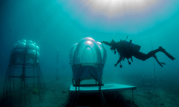 41946a6a-2024-4583-b322-fb1b372337a2-620x372 (1)